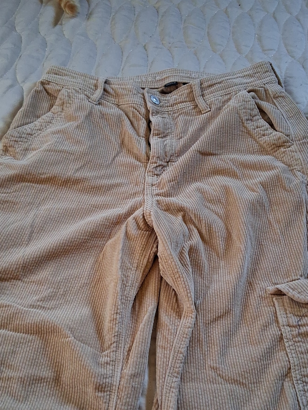 Corduroy Cargo Pants in Light Beige - Picture 6 of 9